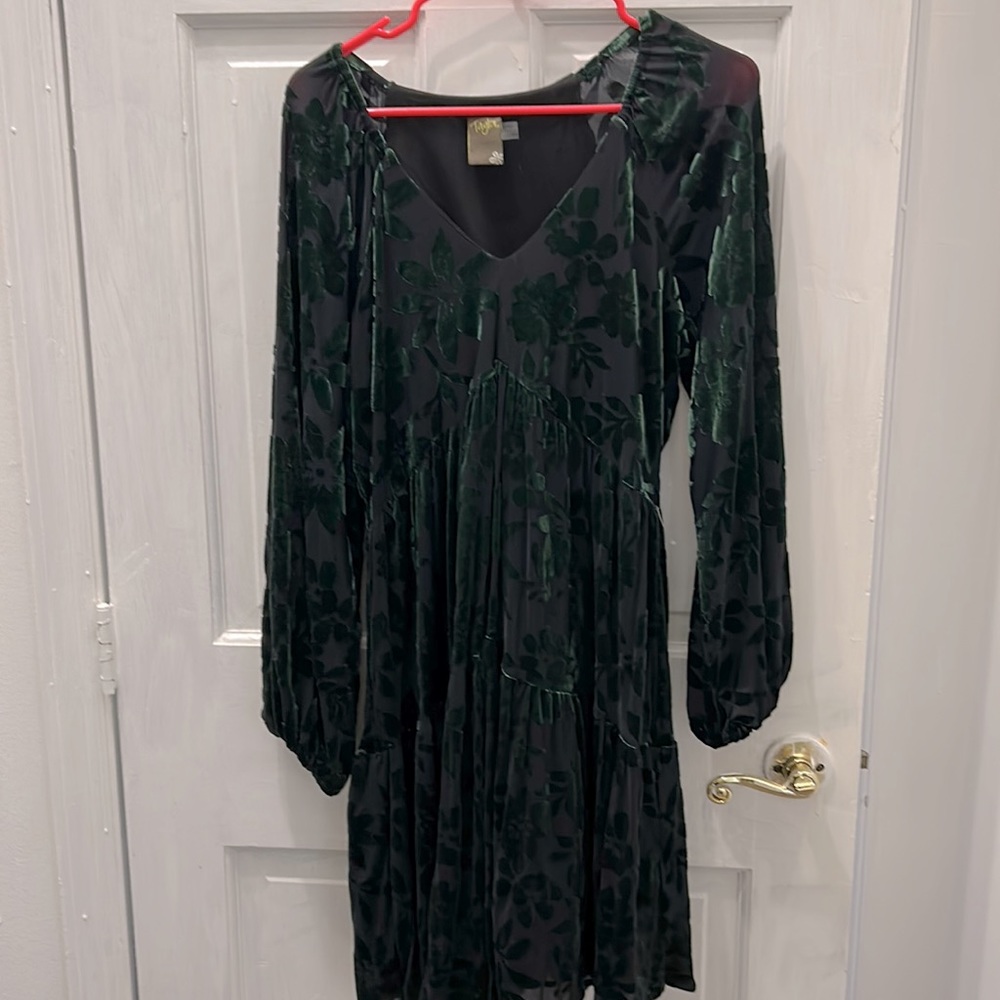 Sooo cute! Hunter green empire waist dress with velvet flowers. Slip lining.
